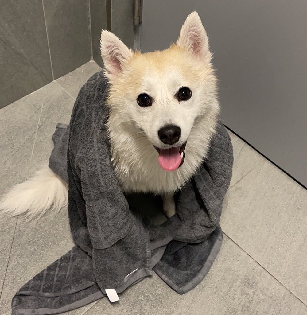 Pocky wrapped in a towel